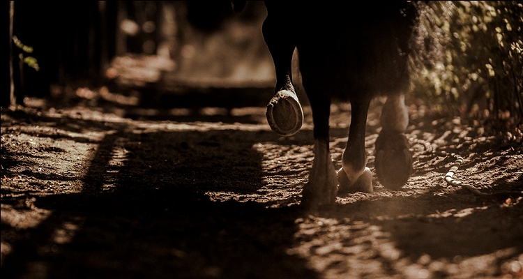 CaballoyRodeo.cl ya es mayor de edad: ¡Felices 18 años!