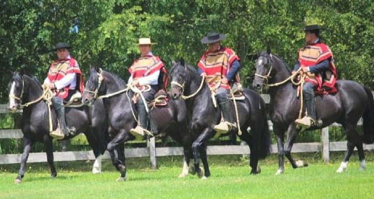 Criadero El Libertador tiene un atractivo remate este miércoles