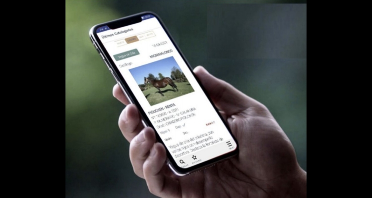 App Caballo Chileno ya está disponible para celulares Android