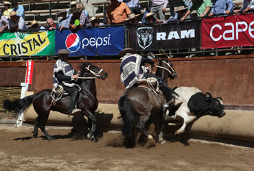 Imagen foto_00000002