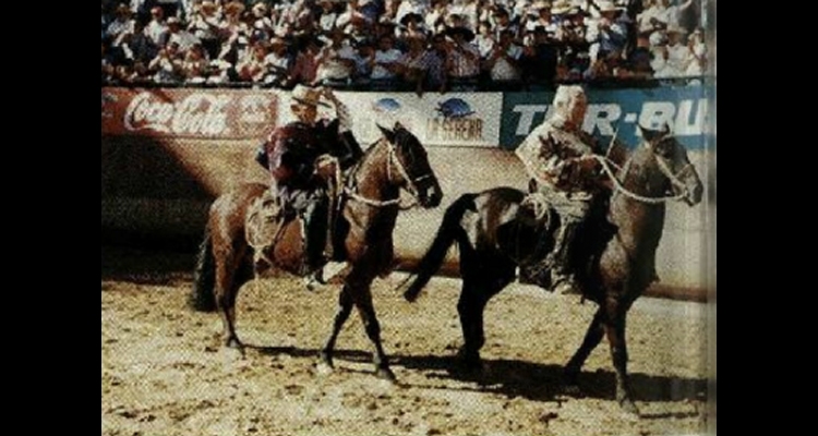 Anuario de 1998: Medio Siglo de Chilenidad