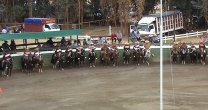 Recuerdos: El sólido puntaje que alcanzaron Vial y Meza en rodeo de Valdivia de Paine