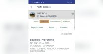 ¿Cómo agregar un caballo a mi Catálogo?