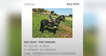 Campaña deportiva detallada en el Plan Persona