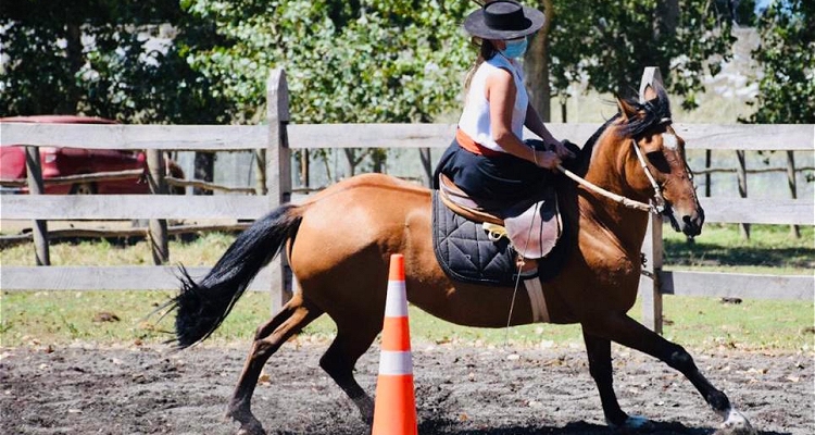 Primera competencia virtual de Monta a lo Amazona Huasa tuvo exitoso cierre