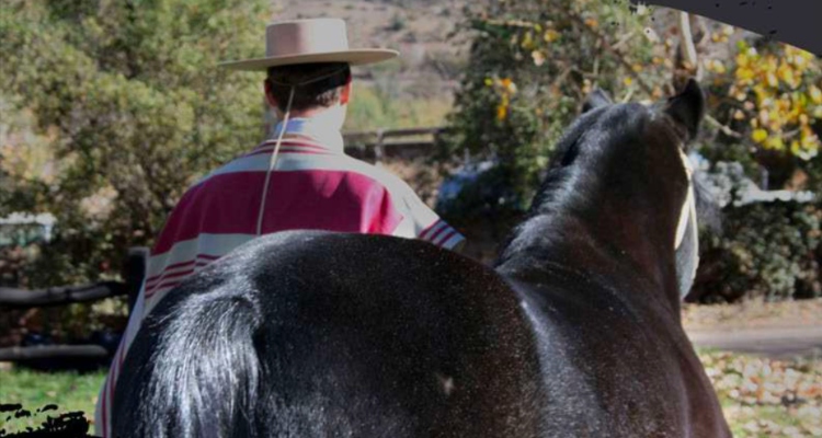 Criaderos El Trapiche y Santa Camila tienen interesante remate este martes