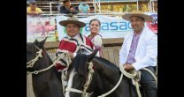Criadero Ramahueico correrá por la Asociación Ñuble en la próxima temporada Criadero Ramahueico correrá por la Asociación Ñuble en la próxima temporada