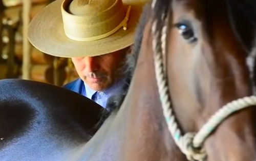 Imagen foto_00000001