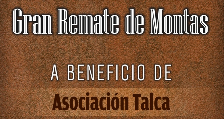 Asociación de Criadores de Talca tiene atractivo remate de montas