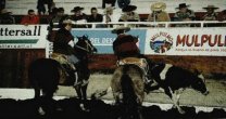 Santa Isabel Diluvio, un gran caballo que dejó un lindo recuerdo en su paso por las medialunas Santa Isabel Diluvio, un gran caballo que dejó un lindo recuerdo en su paso por las medialunas