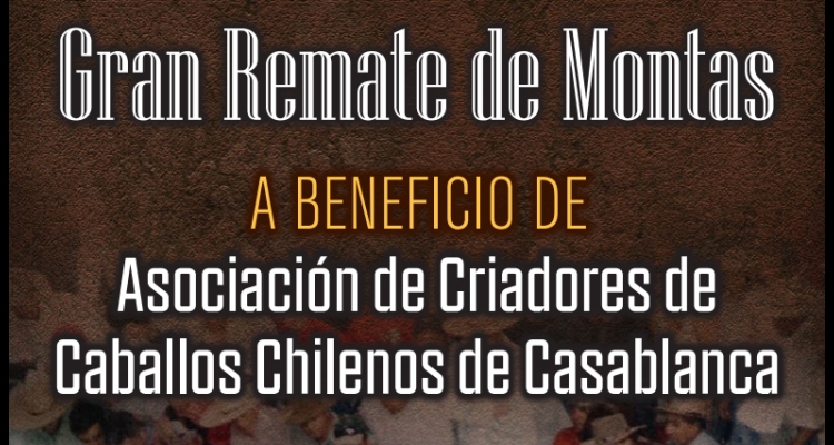 ¡No pierdas la oportunidad! Remate de montas de los Criadores de Casablanca vive sus últimas horas