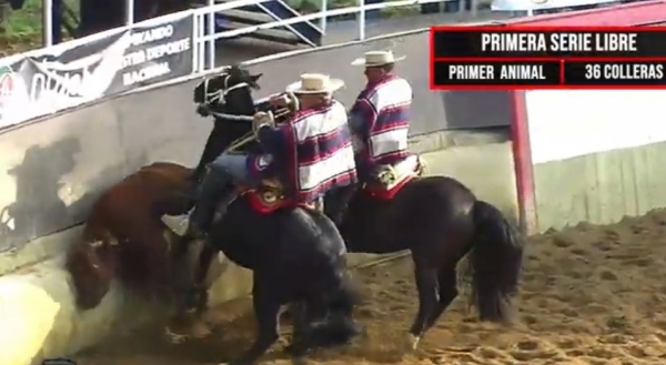 Imagen foto_00000003