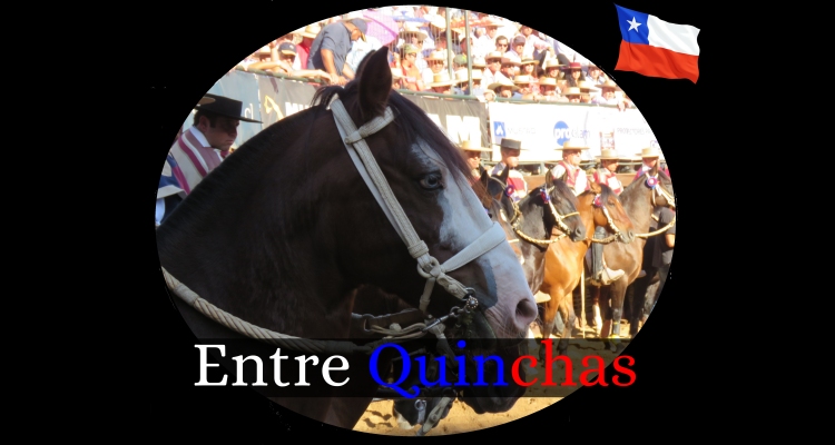 Programa