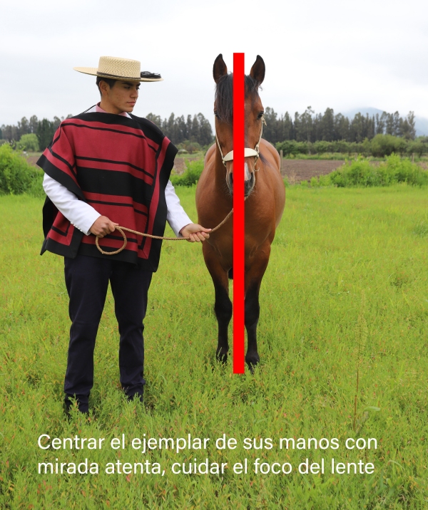 Imagen foto_00000001