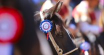 CaballoyRodeo En Vivo: Víctor Catán, Gabriel Barros y Felipe Soto comentaron detalles del Champion CaballoyRodeo En Vivo: Víctor Catán, Gabriel Barros y Felipe Soto comentaron detalles del Champion