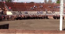Urrutia y Gazmuri sumaron potente triunfo en Mentiroso y Camperita
