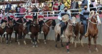 Andrés Escobar y Jonathan Manso lograron un triunfo soñado en rodeo del Club Los Lingues Andrés Escobar y Jonathan Manso lograron un triunfo soñado en rodeo del Club Los Lingues