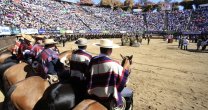 Las 135 colleras de la fama para el 72° Campeonato Nacional de Rodeo Las 135 colleras de la fama para el 72° Campeonato Nacional de Rodeo