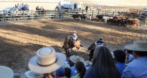 Criadores: Comisión Promoción del Caballo de Raza Chilena analizó interesantes propuestas Criadores: Comisión Promoción del Caballo de Raza Chilena analizó interesantes propuestas