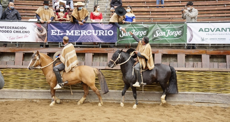 Santiago Sur fue la asociación con más colleras clasificadas para la Final en Rancagua