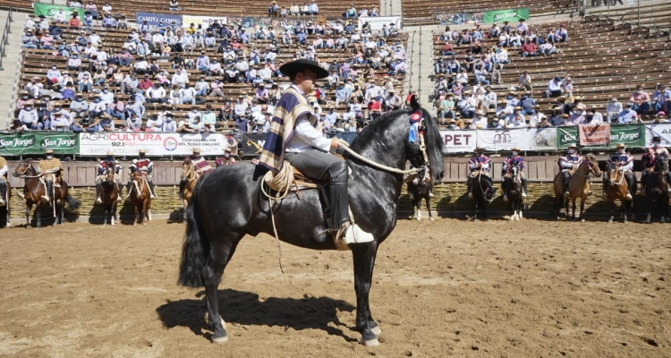 Peleco Caballero otra vez fue el Sello de Raza en el Champion de Chile