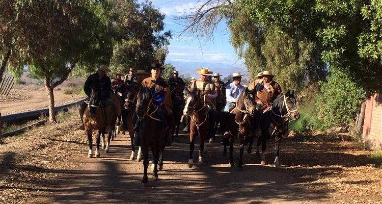 Cabalgata familiar programada en Punitaqui fue suspendida