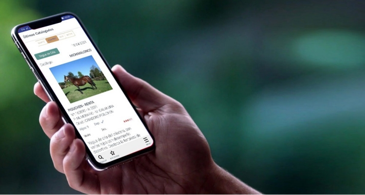 Más de 60 criaderos ya se sumaron a la experiencia de la App Caballo Chileno