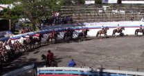 Los Laureles del Bosque conquistó el Rodeo para Criadores de Linares