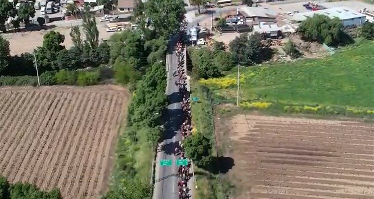 Cauquenes vivió su propio Encuentro por las Tradiciones y congregó a miles de asistentes