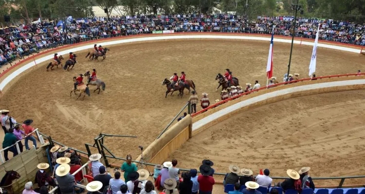 Campeonato Nacional de Fenaro se correrá en Marchigüe y tendrá Serie Promocional Femenina