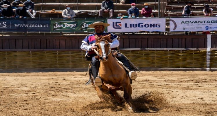 Exhibición de Movimiento a la Rienda en la Expo Nacional tiene confirmados los jinetes participantes