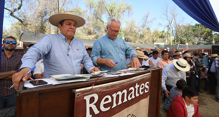 Alberto Ponce: Agradecemos profundamente a todos quienes participaron en este Remate de la Federación de Criadores