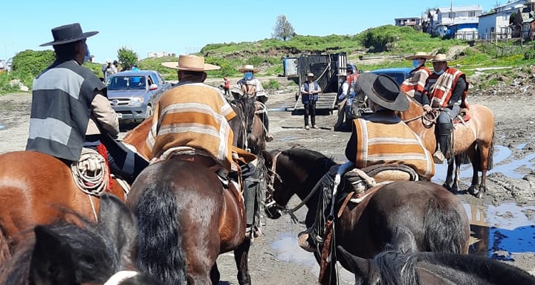 El mundo huaso manifestó su apoyo a las tradiciones con encuentros entre Arica y Quellón