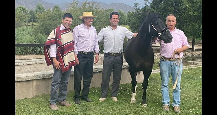 Emiliano Ruiz y Pablo Pino correrán los potros Intruso y Orgullo