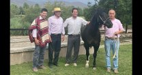 Emiliano Ruiz y Pablo Pino correrán los potros Intruso y Orgullo Emiliano Ruiz y Pablo Pino correrán los potros Intruso y Orgullo