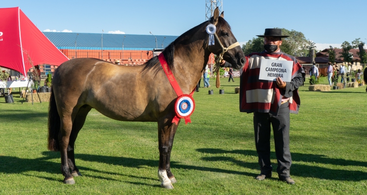 Gilberto Carmona, criador y expositor de la Gran Campeona Hembra: Este premio es nuestro mayor logro