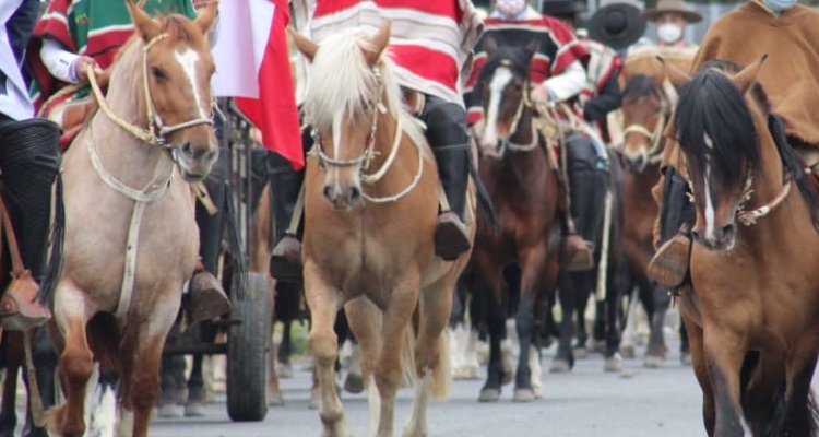 El mundo huaso se hará presente en las calles de Angol
