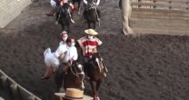 Santa Elba concretó significativo triunfo en rodeo del Club Quilpoco de Rauco en Tres de Copa y Mal de Amores