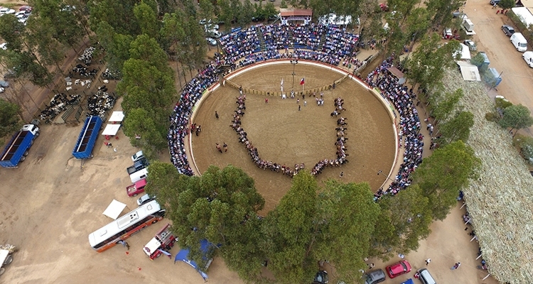 Fenaro realizará este fin de semana su Campeonato Nacional en Marchigüe