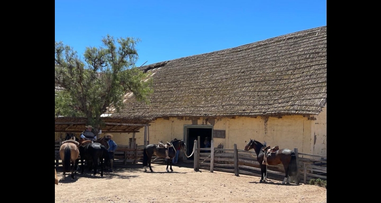 Cabalgata de Criadores de Coquimbo en Hacienda El Tangue fue un viaje al pasado