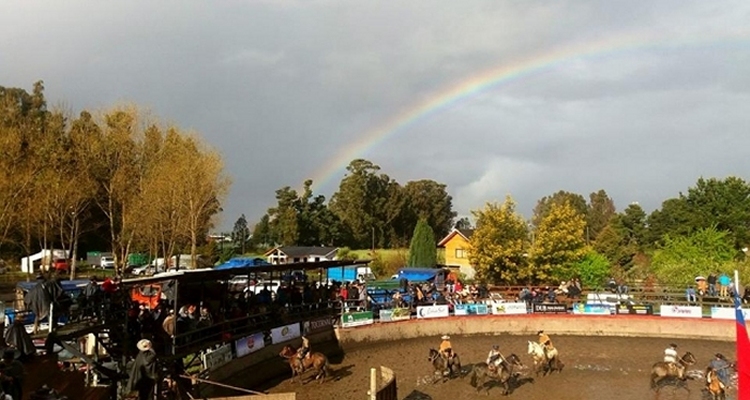 Asociación Cautín se instala en Pitrufquén para realizar su rodeo para criadores