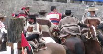 El rodeo de La Junta premió la eficacia de Frohlich y Salfate