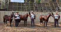 Criadores de Colchagua tienen preparada una gran jornada en San Fernando para su Exposición Criadores de Colchagua tienen preparada una gran jornada en San Fernando para su Exposición