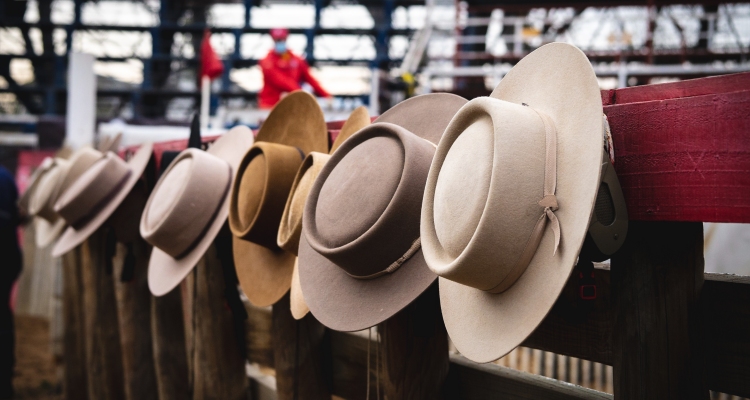 CaballoyRodeo en Vivo: La importancia de Viva El Campo, Chile y su Cultura