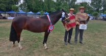 Los Grandes Premios de la Expo Colchagua 2021