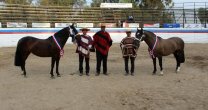 Asociación Linares tiene todo preparado para la Expo Longaví Asociación Linares tiene todo preparado para la Expo Longaví