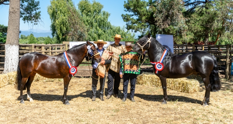 Esperá y Optimo deslumbraron como ganadores de la Expo Linares