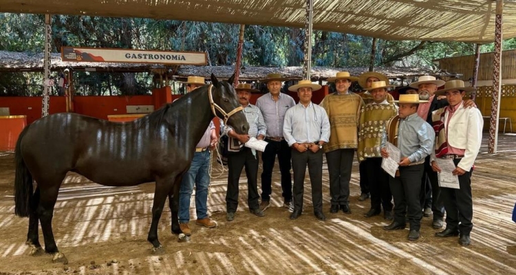 Criadores de Coquimbo cumplieron un nuevo hito en conjunto con el Criadero Santa Ana