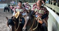 Pablo Pino y Mario Tamayo festejaron en el rodeo del Club La Florida y se acercaron a los Clasificatorios Pablo Pino y Mario Tamayo festejaron en el rodeo del Club La Florida y se acercaron a los Clasificatorios