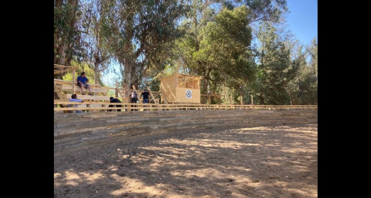 Club Bulnes estrena nueva medialuna: 